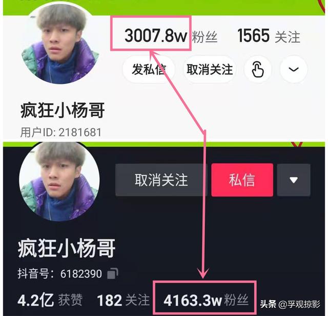 网络红人“疯狂小杨哥”，到底有多疯狂？3年吸粉7000万  疯狂小杨哥 第3张