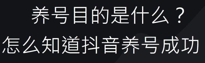 手把手教你如何从0到1做短视频运营