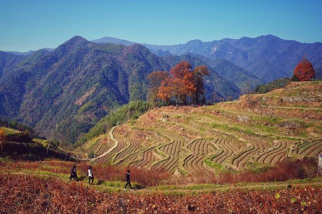 “土味顶流”<a href='http://www.mcnjigou.com/?tags=62
' target='_blank'>张同学</a>你认为能火多久？会成为下一个“<a href='http://www.mcnjigou.com/?tags=31
' target='_blank'>李子柒</a>”吗？  <a href='http://www.mcnjigou.com/?tags=62
' target='_blank'>张同学</a> 第3张