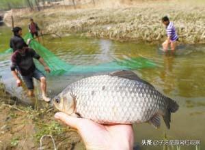 康仔农人：广西半百袖珍老人，他凭什么半年涨粉近千万？  康仔农人 第10张