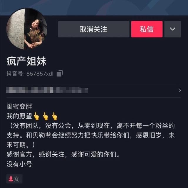 “疯产姐妹”有4000万粉丝，不带货不开橱窗，难道视金钱如无物？  疯产姐妹 第5张