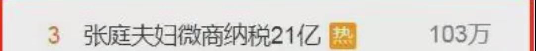 张庭夫妇6亿资金被冻结：为何林瑞阳前妻说张庭是小三上位？  张庭 第1张