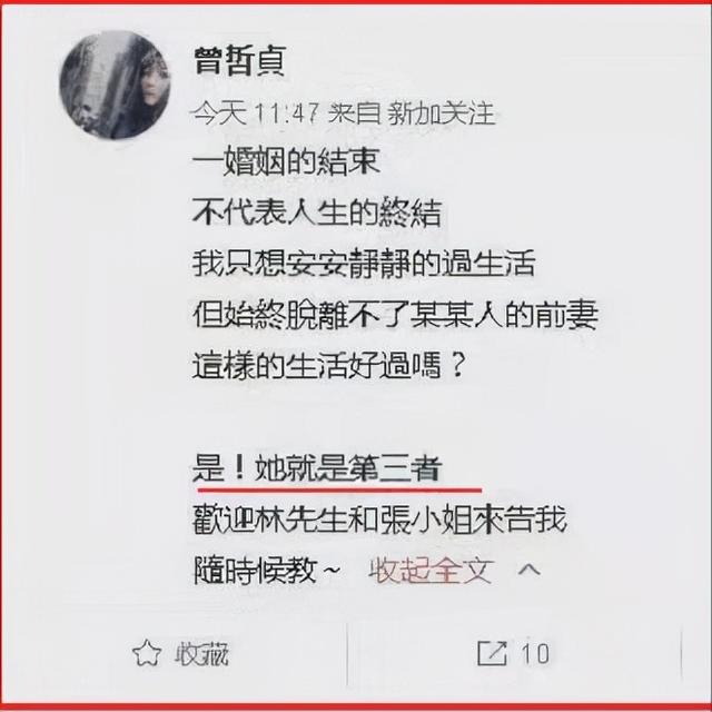 张庭夫妇6亿资金被冻结：为何林瑞阳前妻说张庭是小三上位？  张庭 第4张