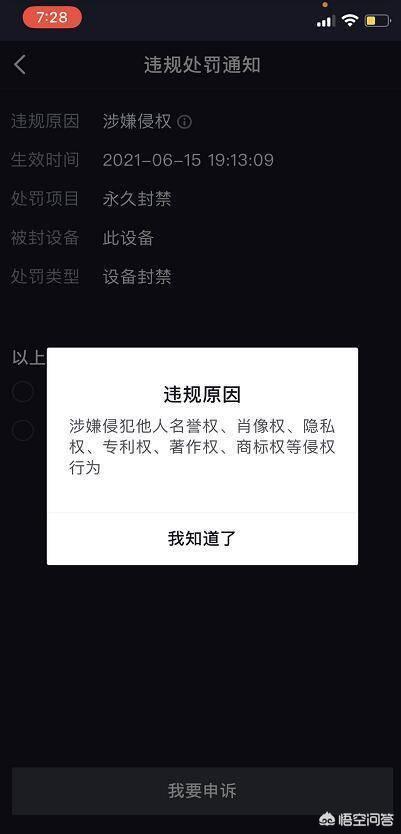 孙一宁为什么和别的网红不一样，敢正面刚王思聪？  孙一宁 第6张