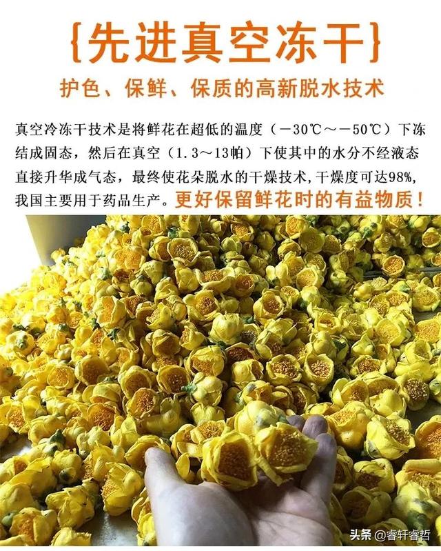 网红康仔农人的真实身份曝光，他家的金花茶园的价值令人惊讶  康仔农人 第10张