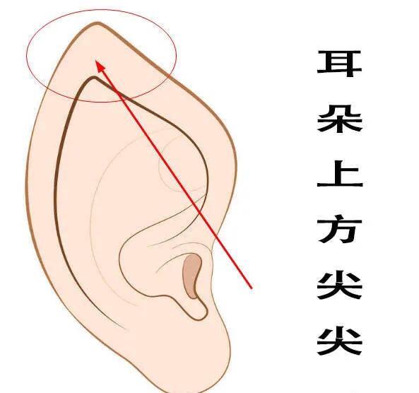 范冰冰哪里最漂亮？  范冰冰 第4张